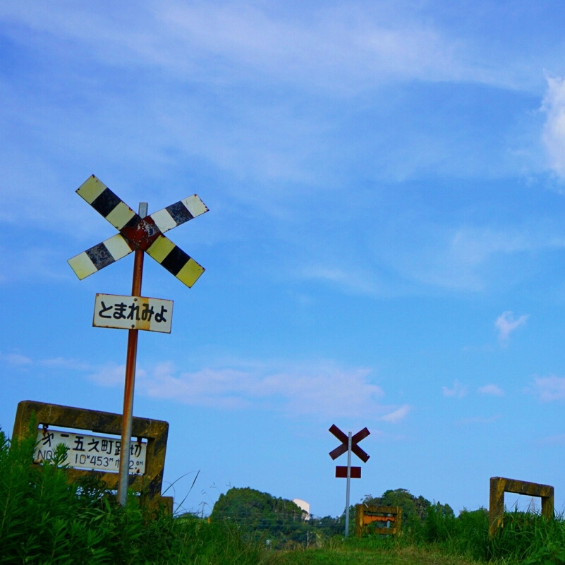 d0341483_08574001.jpg