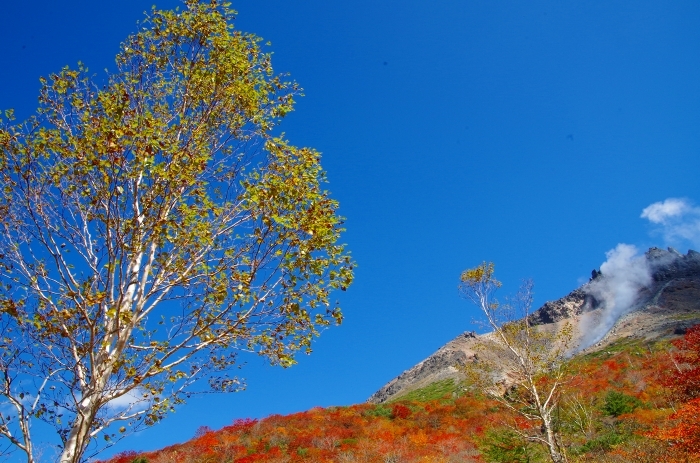 紅葉の那須姥ヶ平_c0324191_11285027.jpg