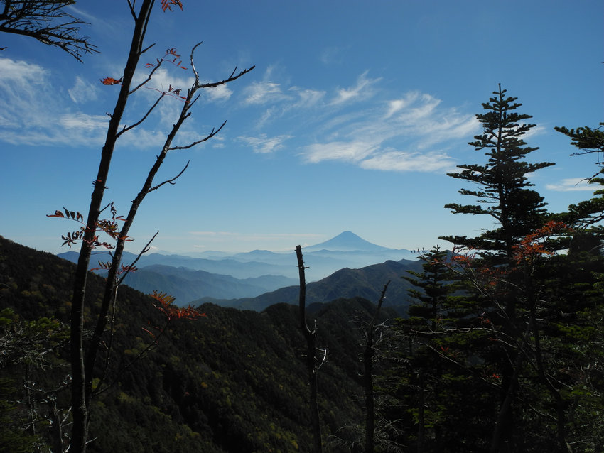 a0158802_22564580.jpg