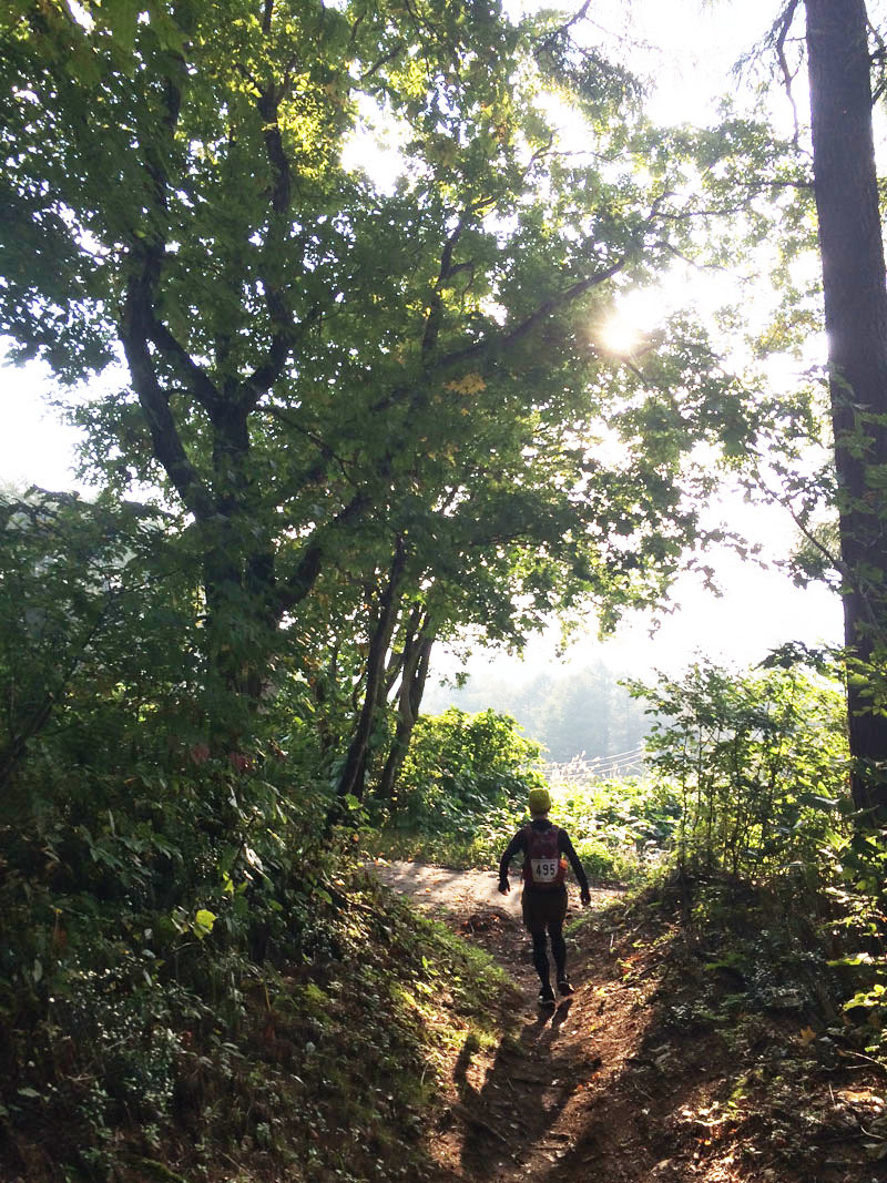 斑尾高原トレイルランニングレース 50km_f0051306_11364364.jpg
