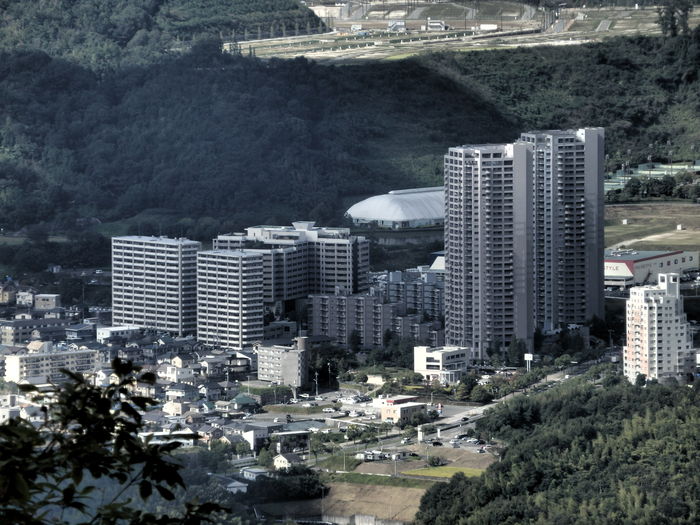 f0219710_1063626.jpg