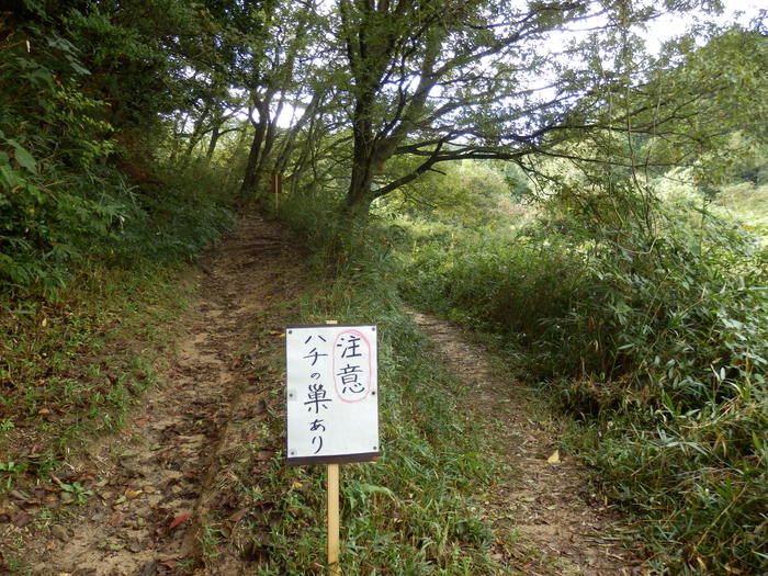 f0219710_948273.jpg