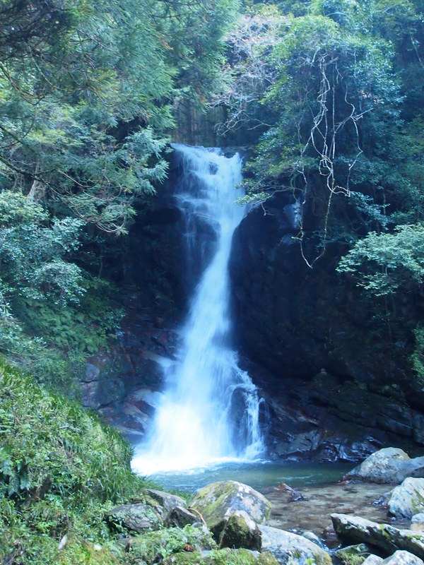 d0198313_831251.jpg