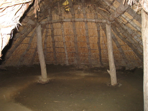d0287413_1004436.jpg