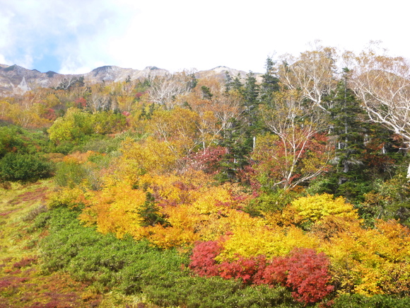 栂池自然園・唐松岳登山　(2,695.9M) お気に入り写真_d0170615_23124658.jpg