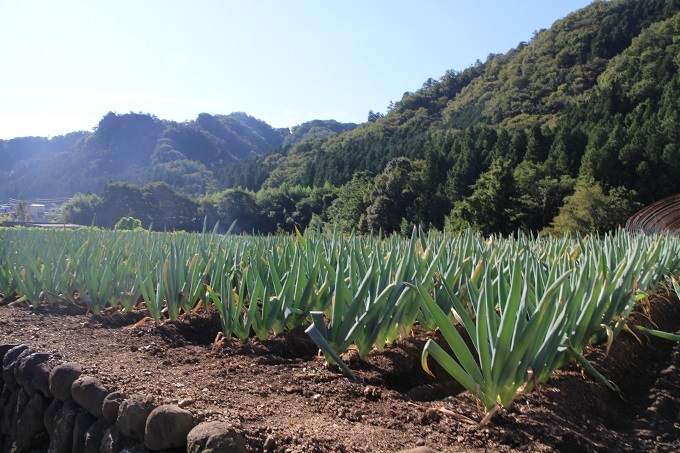 妙義山ー碓氷峠ライド　その１_e0341417_20141912.jpg