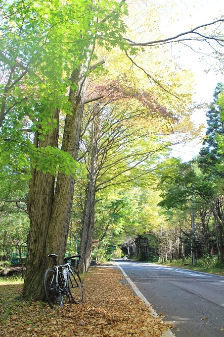 妙義山ー碓氷峠ライド　その１_e0341417_20514333.jpg