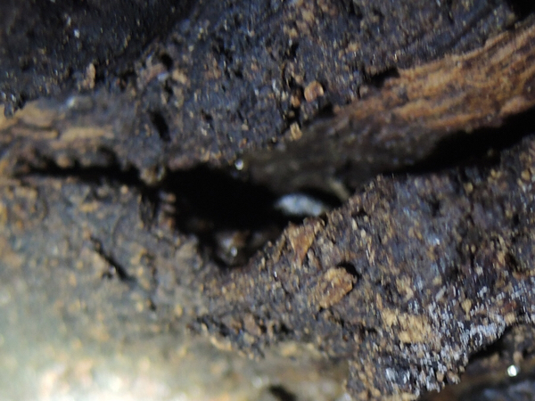 c0346119_20552507.jpg