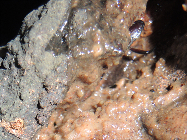 c0346119_20552565.jpg
