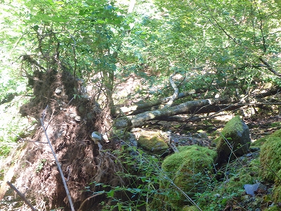 f0193521_18114835.jpg