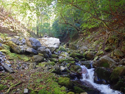 f0193521_1813646.jpg