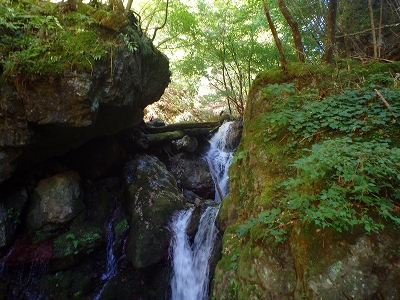 f0193521_18221022.jpg
