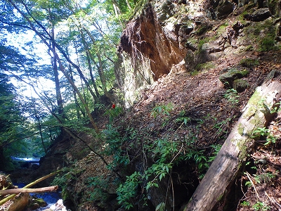 f0193521_18232911.jpg