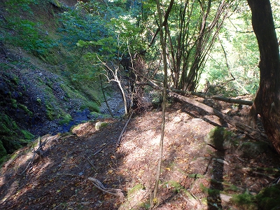 f0193521_1853326.jpg