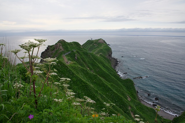 2015/夏の北海道撮影記　Ⅱ_c0132230_11494531.jpg