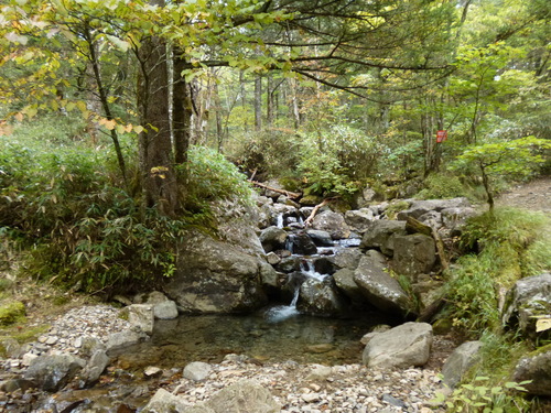 f0304030_2258409.jpg