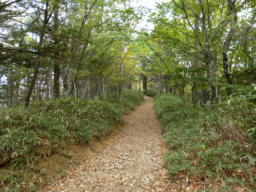 f0304030_22594123.jpg