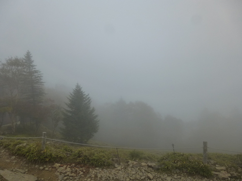 f0304030_2314442.jpg