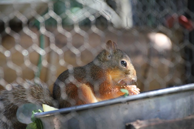 f0348831_07172720.jpg