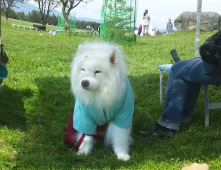 ランちゃん楽しかったね~♪_b0177436_21515971.jpg
