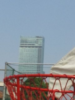 c0056437_929515.jpg