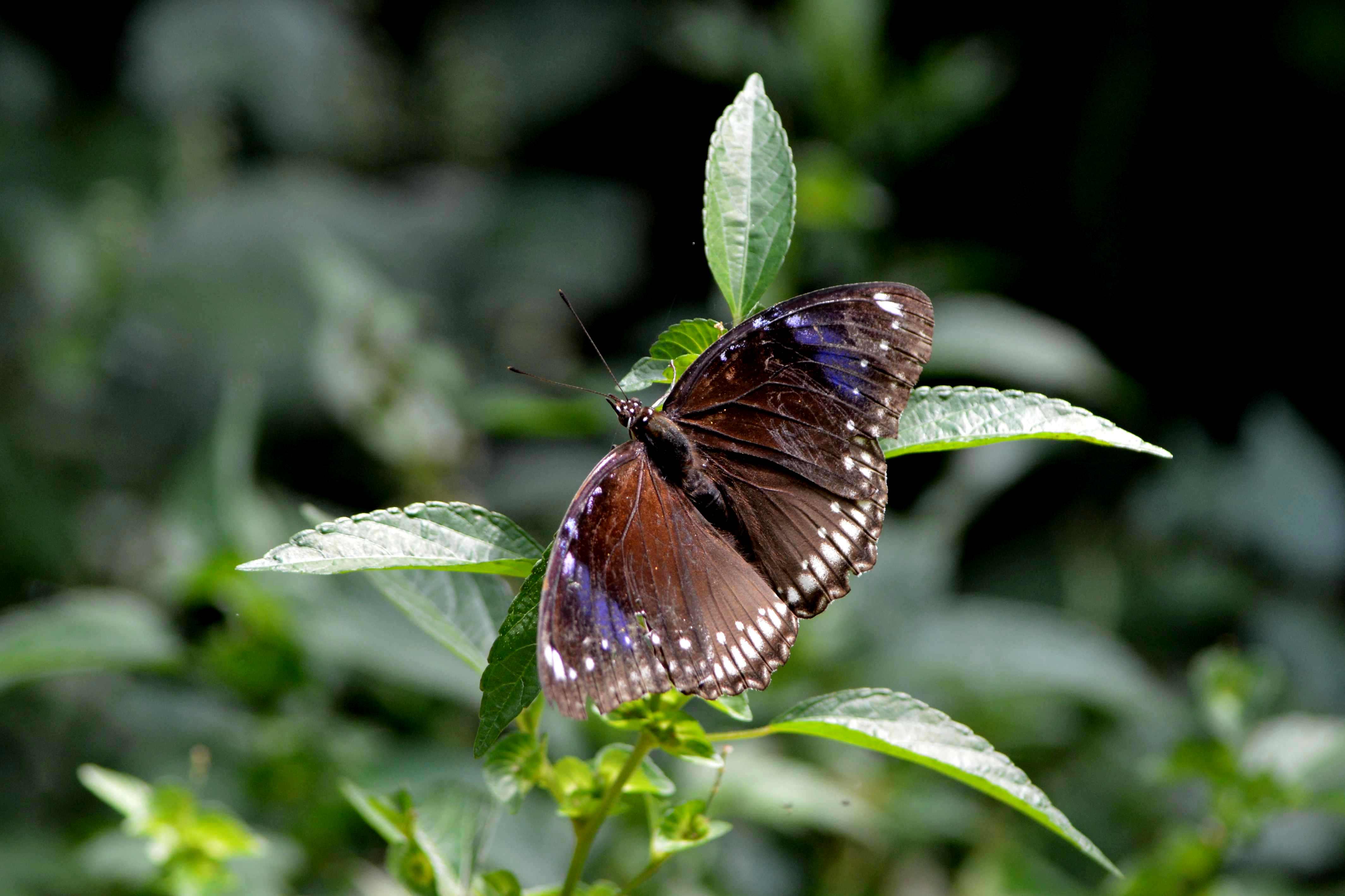 d0254540_628750.jpg