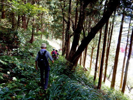 夢の平から鉢伏山を越え庄川水記念公園へ_e0153040_17425490.jpg