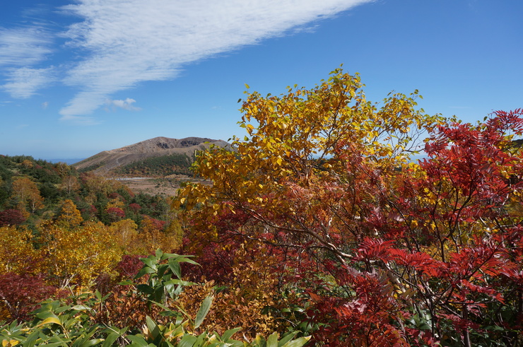 b0233441_15595635.jpg