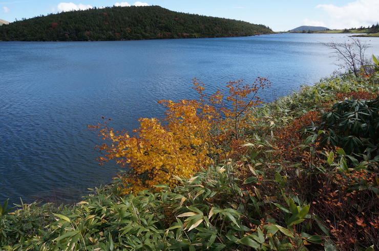 b0233441_1611990.jpg