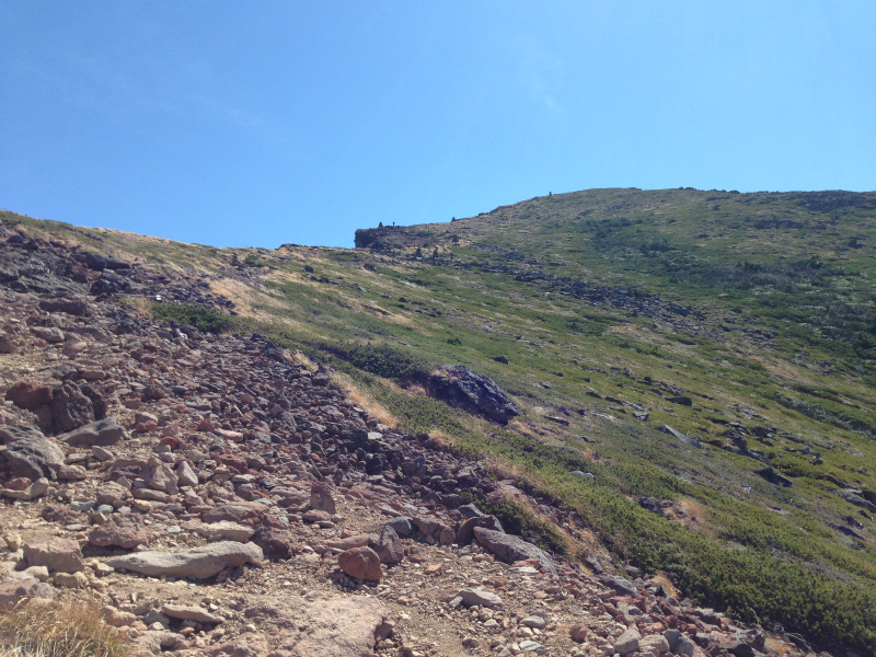 c0201450_78821.jpg