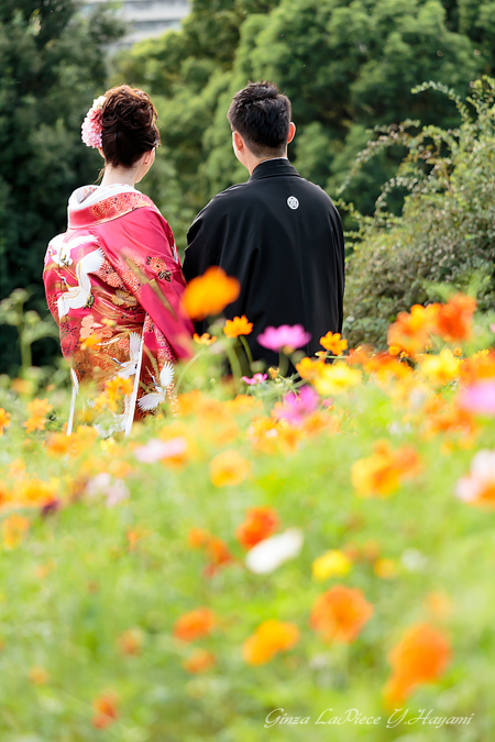 花のある風景　新婚さんとコスモス_b0133053_0414045.jpg