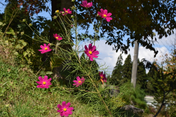 気持ちの良い場所へ_d0092963_15201424.jpg