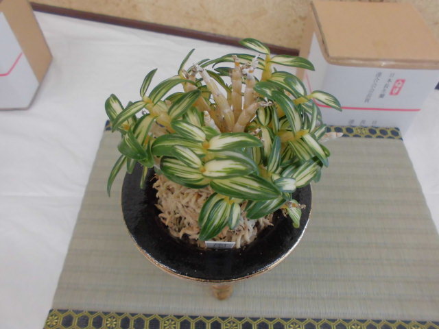 f0318967_19022441.jpg