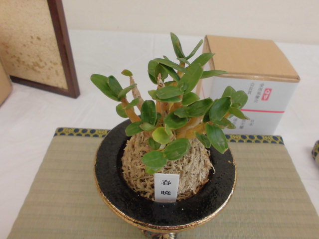 f0318967_19033578.jpg