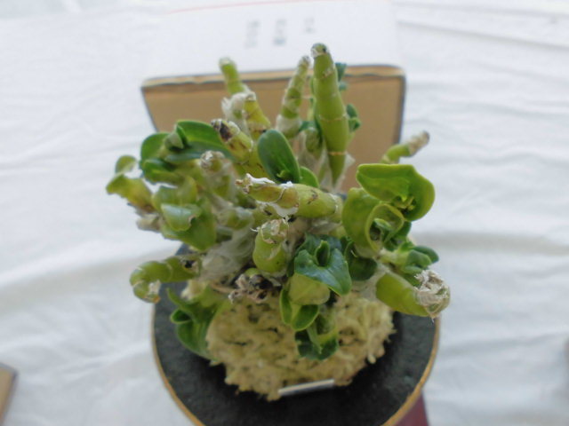 f0318967_19072269.jpg