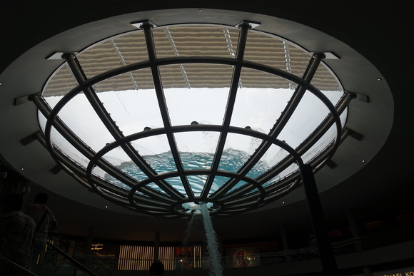 d0193569_1116393.jpg