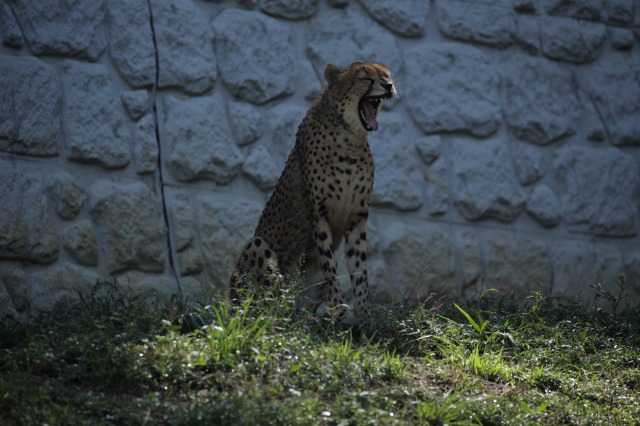 a0188771_23531347.jpg