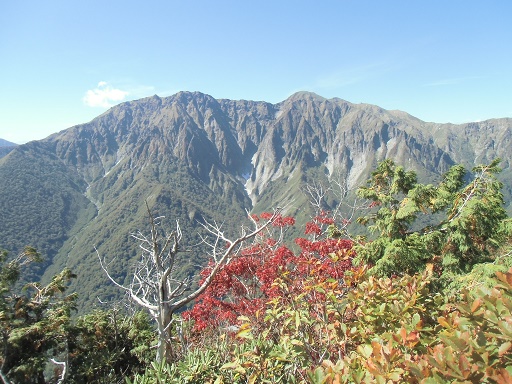 c0273271_63220.jpg