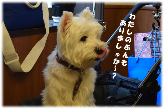 b0242873_17144895.png