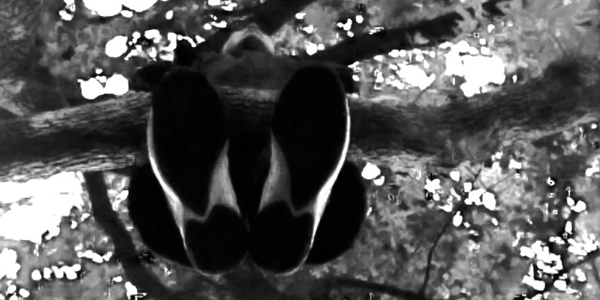 d0180381_22294267.png
