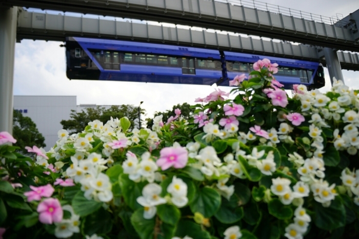 d0341483_13140890.jpg