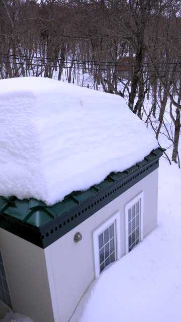 雪にうもれてシャイニング！_d0339884_17480995.jpg