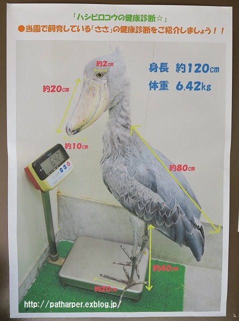 ２０１５年９月　のいち動物公園　その１_a0052986_7221317.jpg