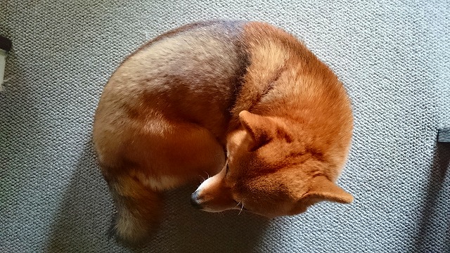 c0219786_20135947.jpg