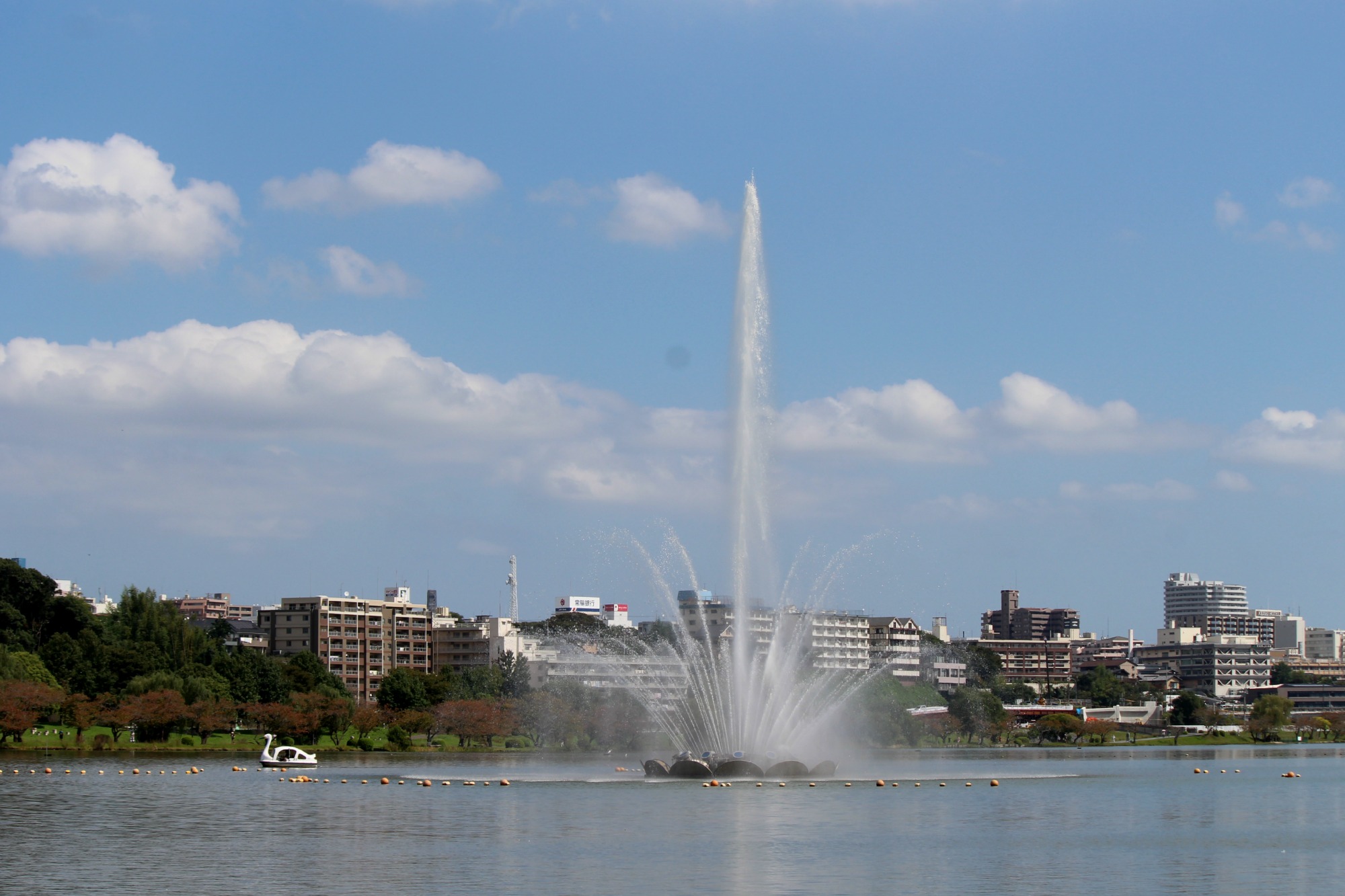 a0127090_21383639.jpg
