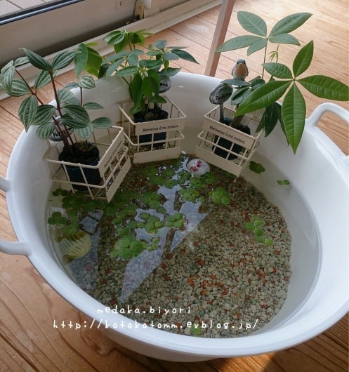 届きました フレディレックのアイロンボード Kurashi 子供と一緒に楽しむ暮らし