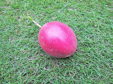 c0117898_2214529.jpg