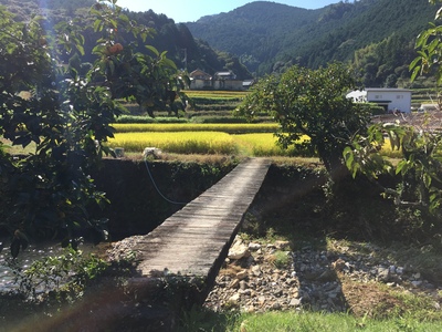 f0308898_812189.jpg