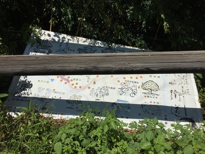 f0308898_8155518.jpg
