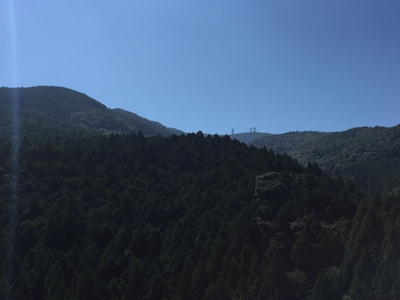 f0308898_8172986.jpg